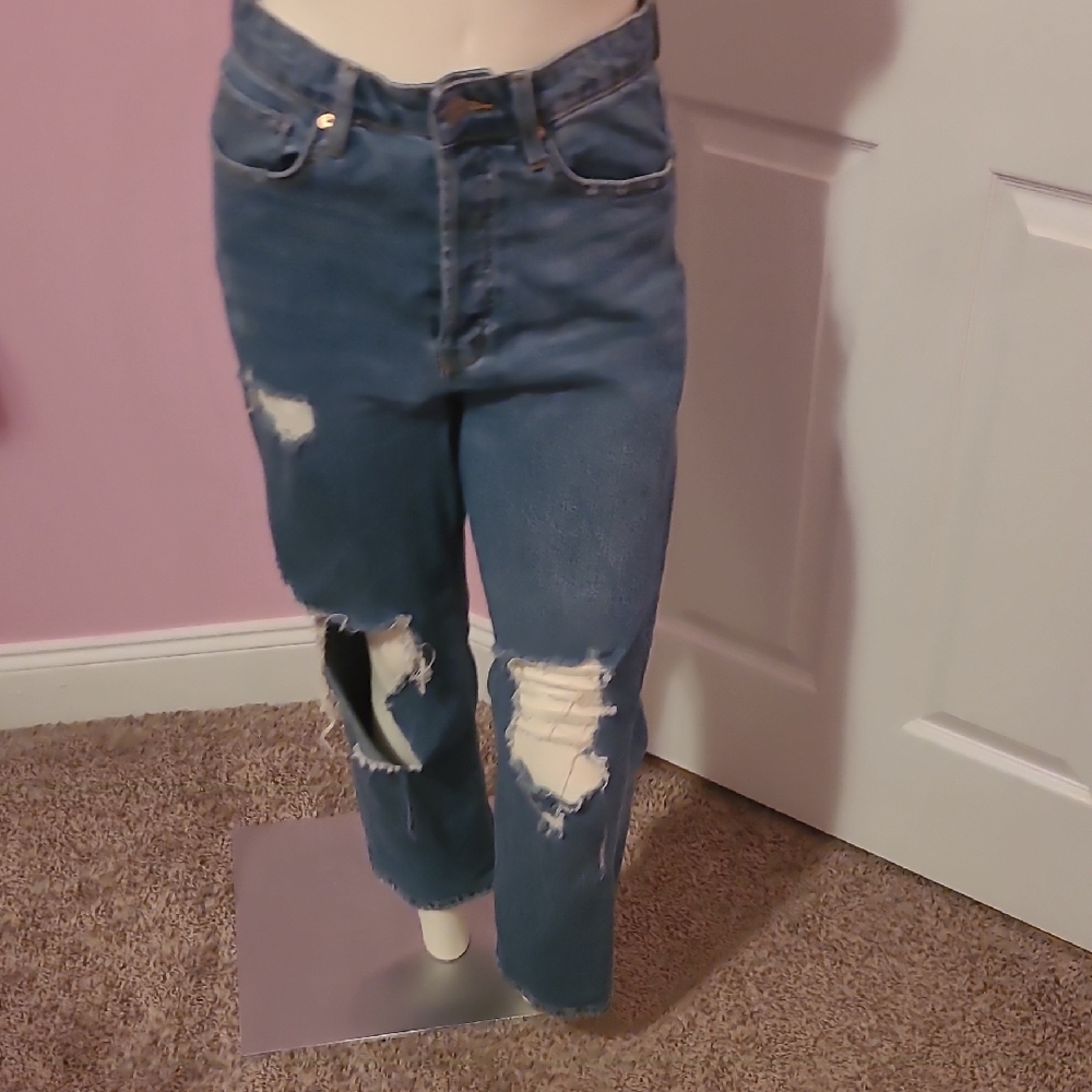 Wild Fable Distressed Button Fly Blue Jeans